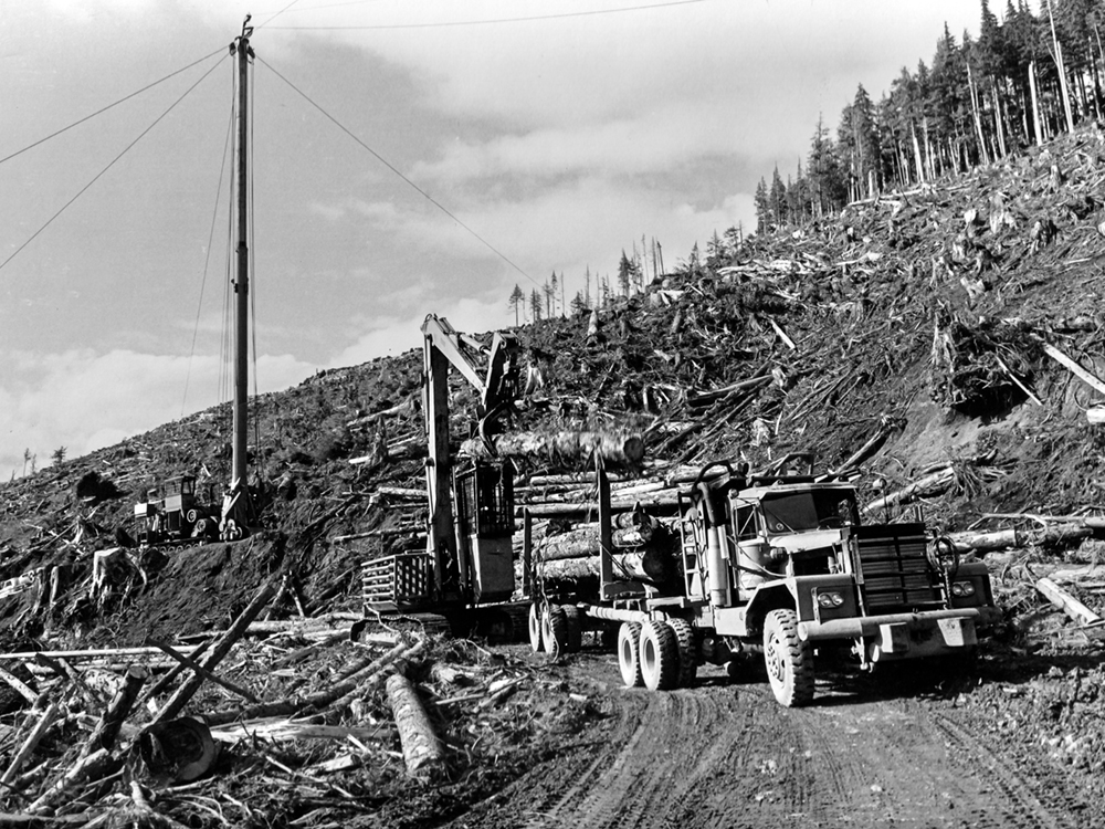 A black and white photo of an expansive cutblock that has been logged. A machine loads harvested trees onto a logging truck.