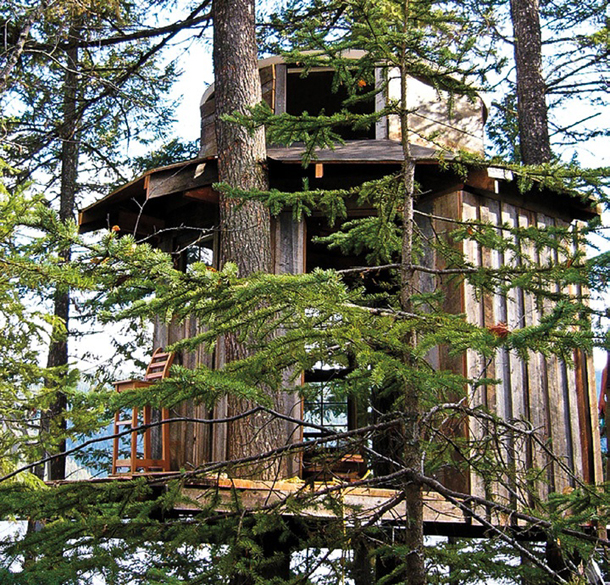 Canim Lake, B.C. treehouse