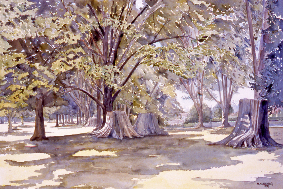 A watercolour illustration of a stand of lush green trees in a park with green grass on a bright day.