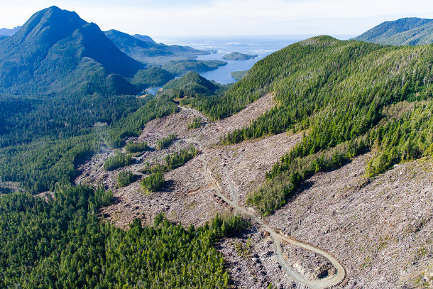 Areas cut on publicly owned land in the East Creek valley