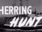 Herring-Hunt-3.jpg