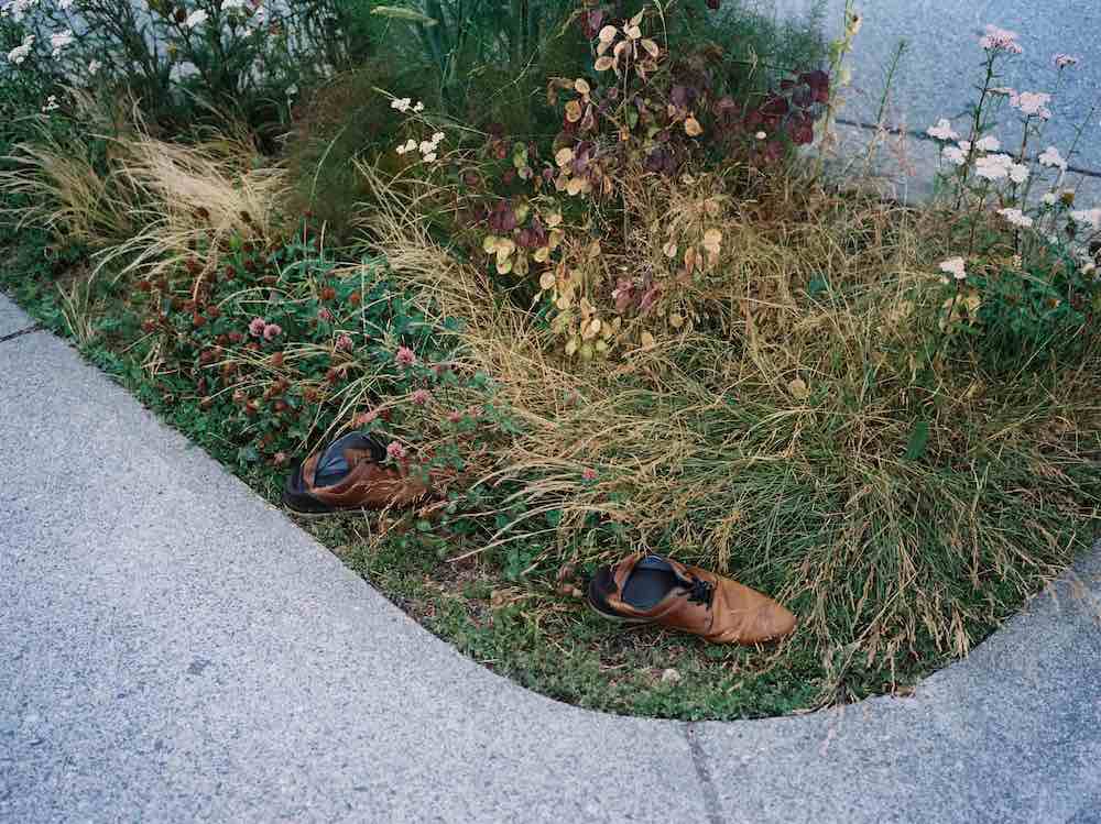 A pair of abandoned brown shoes stand in the long green grass growing next to a curving piece of grey sidewalk.