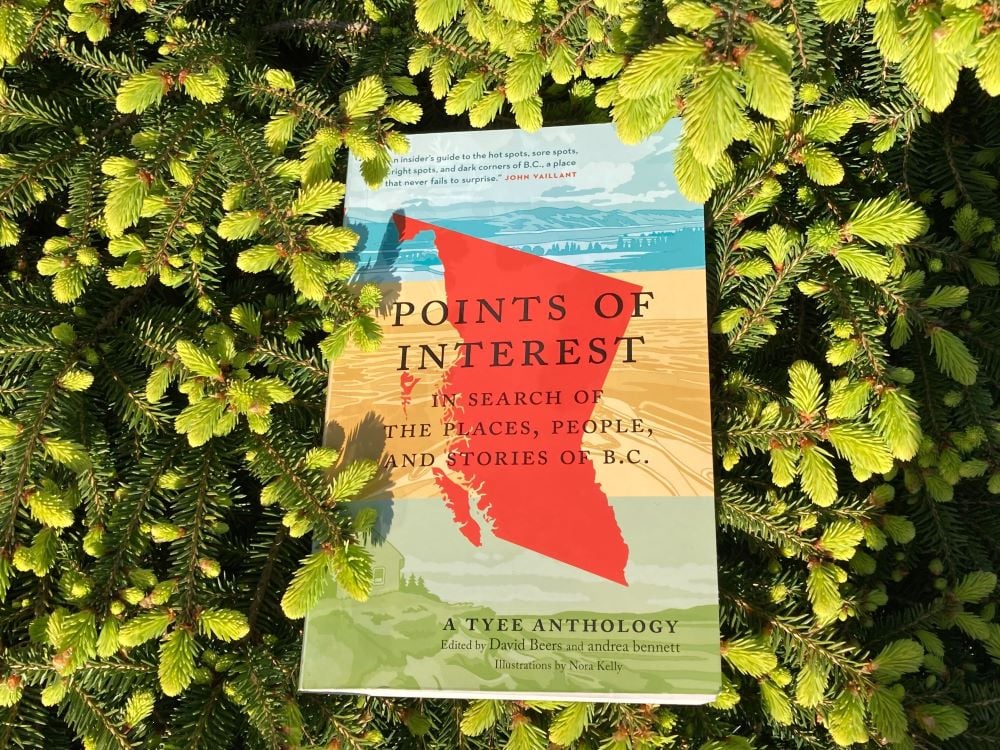 A paperback book featuring the red shape of the province of British Columbia against blue, yellow and green illustrations is nestled in a bed of bright green spruce tips.