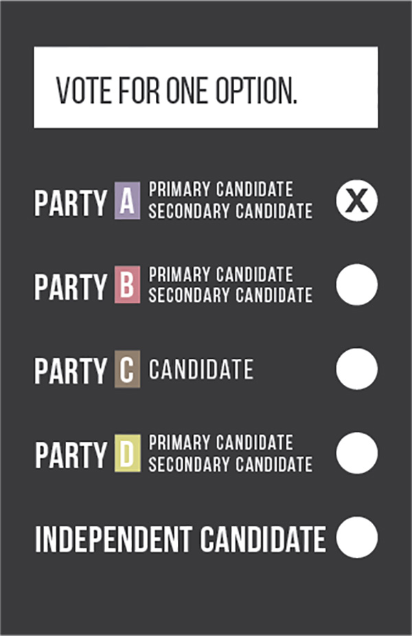 582px version of DMPSampleBallot.jpg