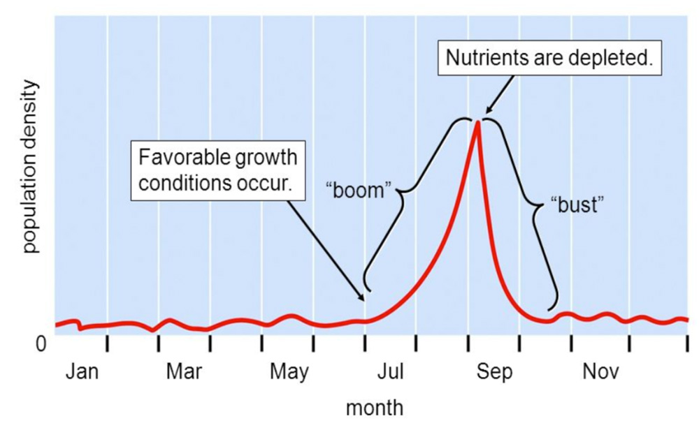 960px version of BoomBustGraph.jpg