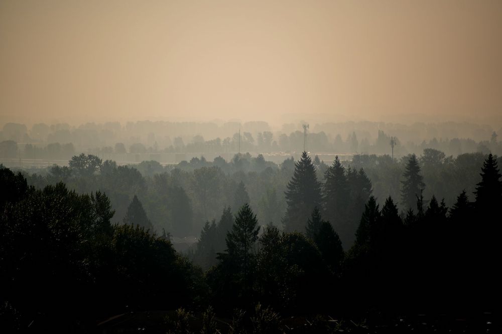 COVER.Coquitlam-Smoke.jpeg