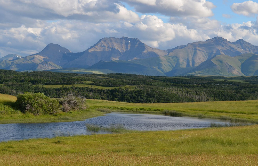 OldManRiverWatershed.jpg