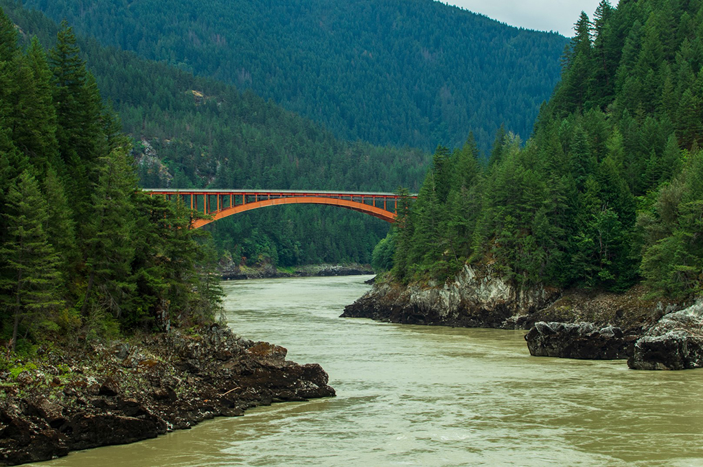A river with greenish water flows between two tree-covered banks towards a bridge overhead in the distance.