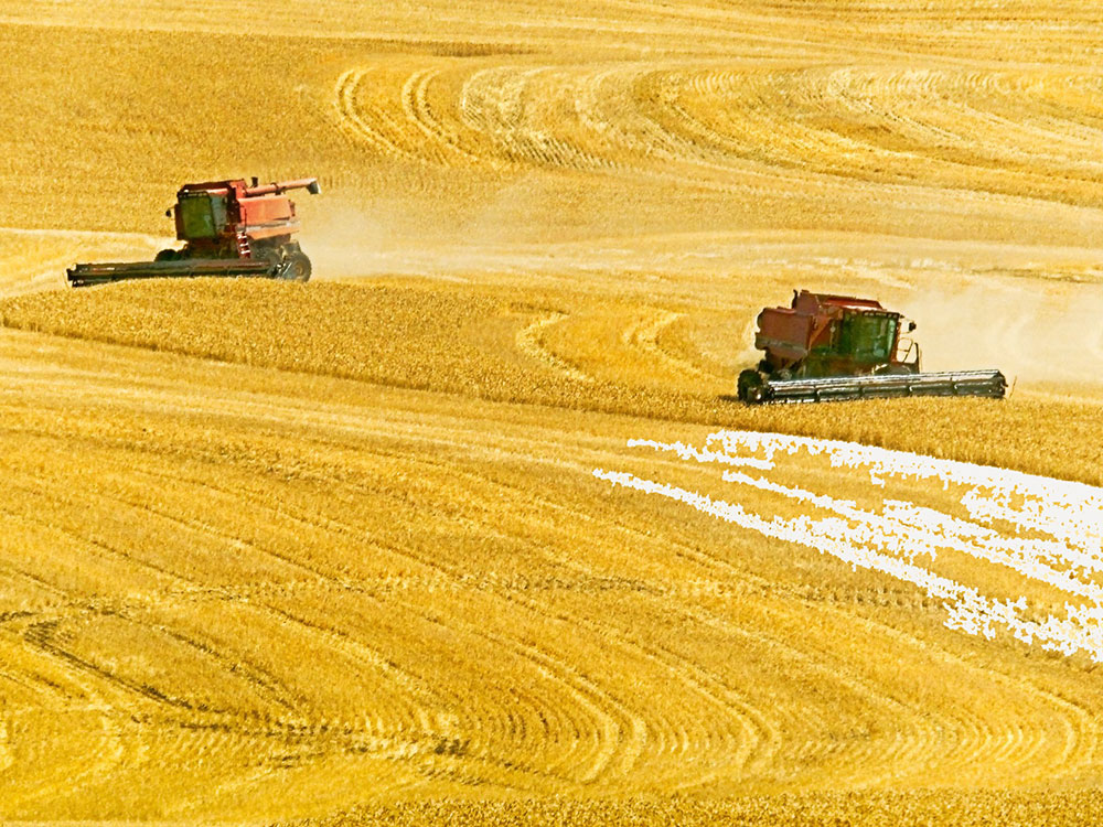 GrainTractorsField.jpg
