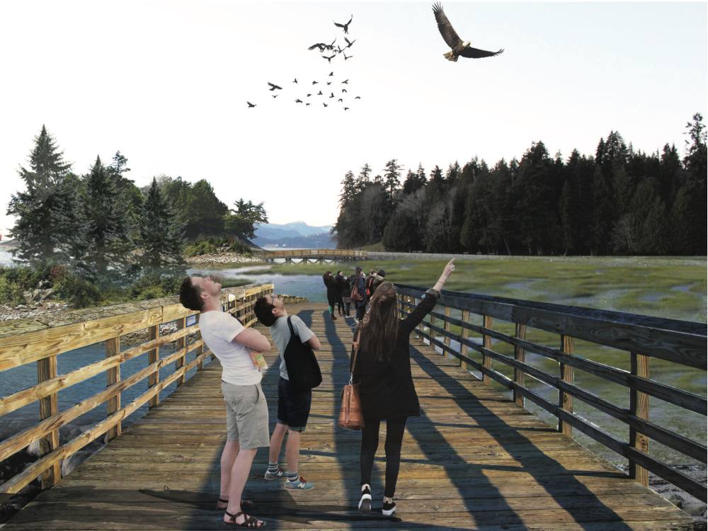 A photo illustration depicts people walking along an elevated boardwalk in Vancouver&rsquo;s Stanley Park as an alternative to its seawall. They are pointing upwards and looking at birds flying overhead.