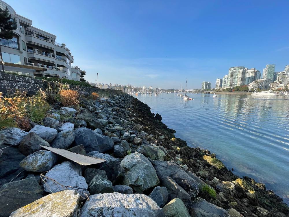 Large grey rocks lead down a slight incline into False Creek. Up the hill to the left of the frame are beige three-storey condominiums behind a grey concrete wall that separates the shoreline from the walkway behind it. The sky and water are blue; the towers part of Vancouver&rsquo;s Yaletown neighbourhood in the city&rsquo;s downtown are visible across the water.