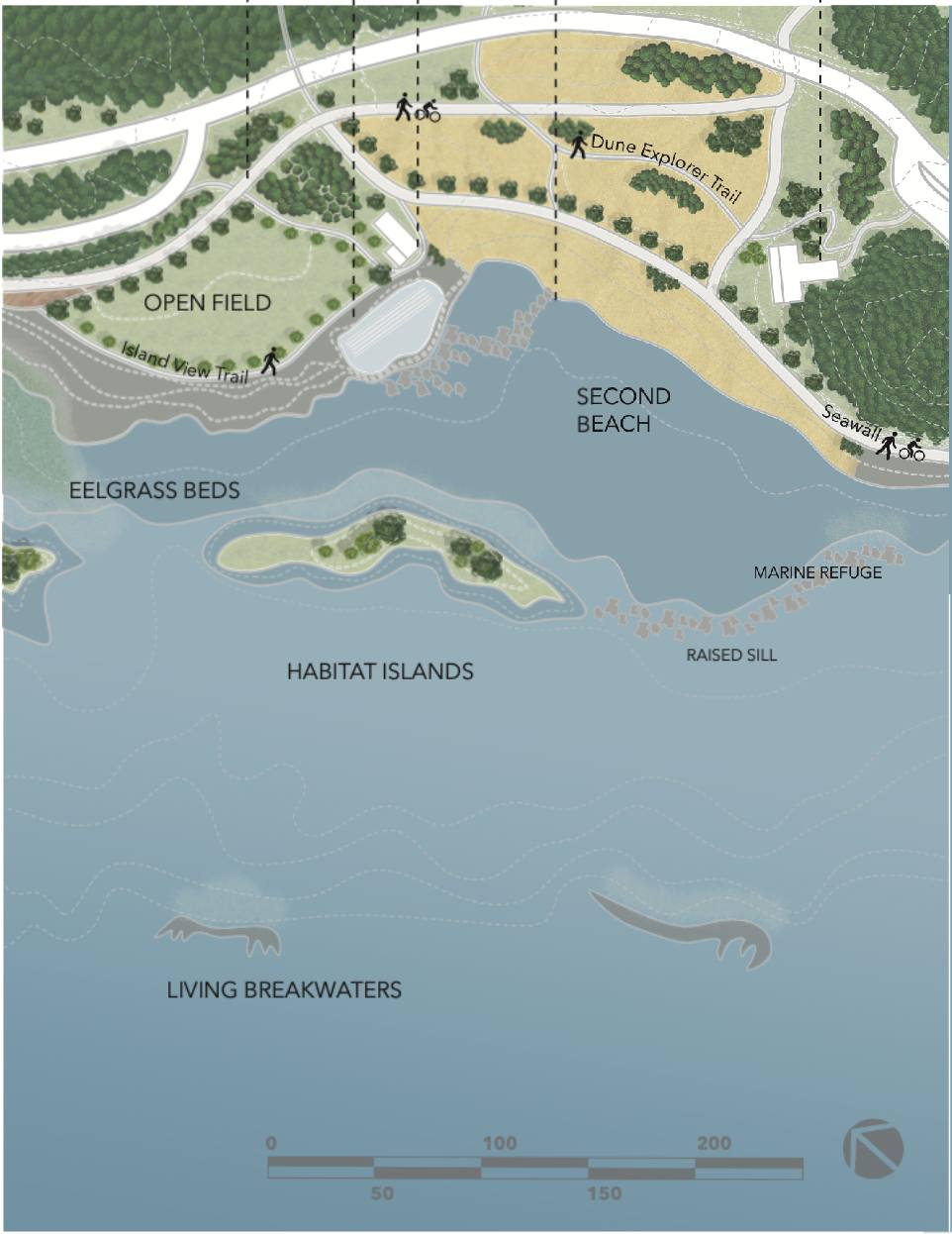 A computer illustration depicts a bird&rsquo;s-eye view of Second Beach in Vancouver with a new protected shoreline free of the seawall.