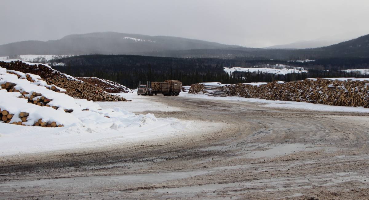 It&rsquo;s a snowy, slightly cloudy day as a logging truck makes its way through the log yard at Houston mill.