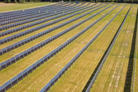 This Renewable Energy Should Please Even Alberta’s UCP