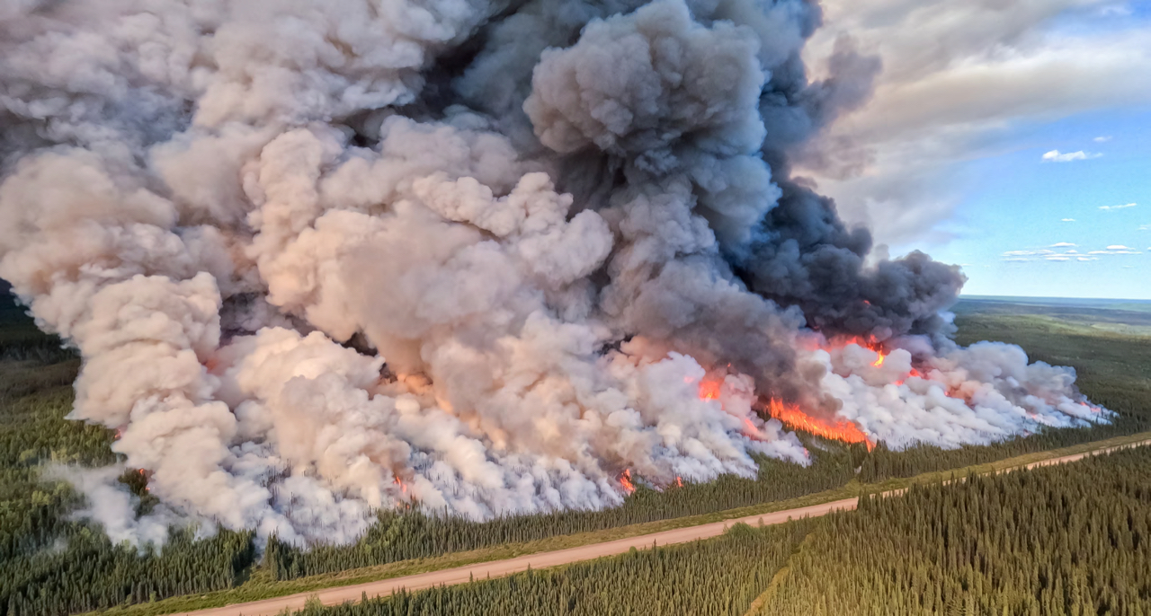 An aerial view of a highway running through a forest. Clouds of smoke rise and orange flames leap from treetops.