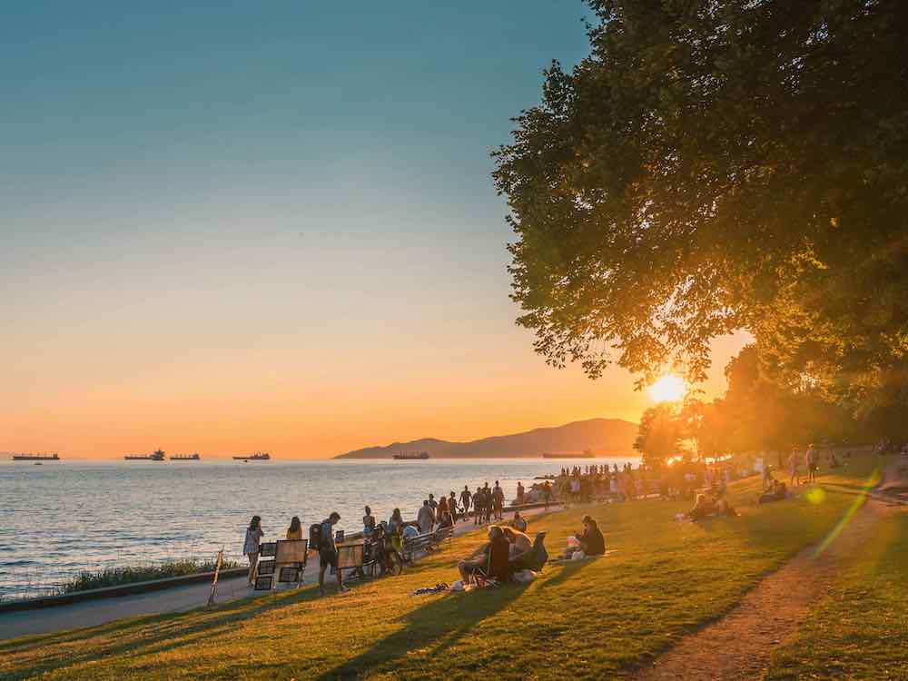 A sunset view depicts people walking along a seaside walkway and picnicking on a grassy slope shaded by large deciduous trees.