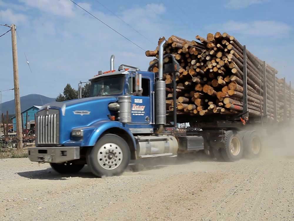 A blue truck loaded with logs drives on a gravel road.