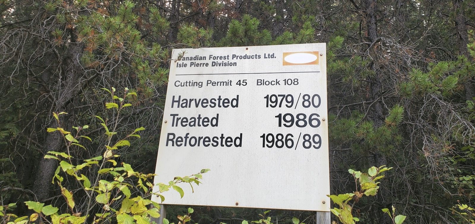 A sign in front of trees says a forest was logged by Canfor in 1979/80, treated in 1986 and replanted between 1986 and 1989.
