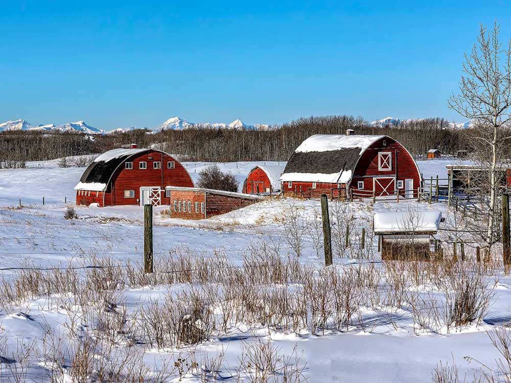 Red barns in a snowy rural landscape with a mountain range in the far background.
