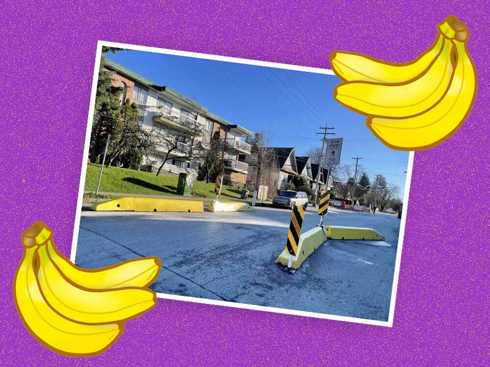A photograph of a residential street with a low-rise apartment building and a row of single-family homes features, in the foreground, several bright yellow concrete barriers in the street. The photograph is set at an angle with a thin white border on a purple background. Two cartoon bunches of bananas sit on the bottom left and top right corners of the frame.