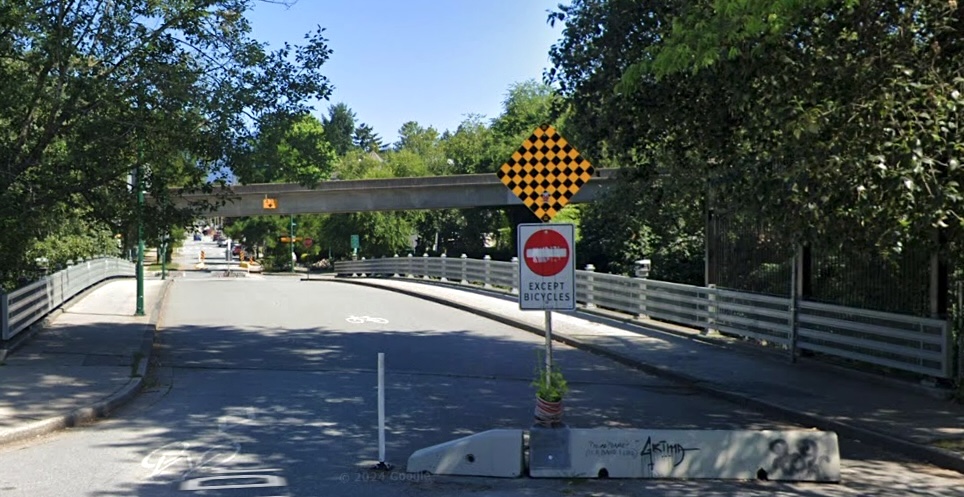 A light grey concrete barrier sits in the middle of a street leading to an overpass that dips under rapid transit tracks. A small pot is affixed to the barrier and in it grows a lush green houseplant.