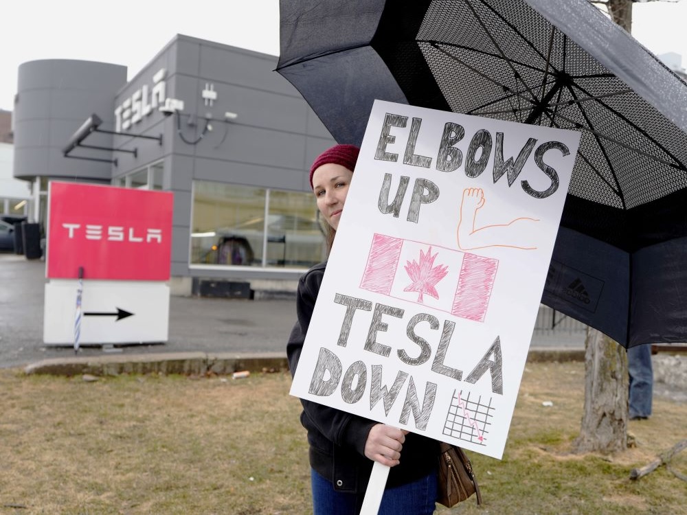A woman in a red hat stands under an umbrella outside a Tesla dealership. She holds a sign with a picture of a flexed arm, a Canadian flag, and wording that reads: Elbows Up, Tesla Down.
