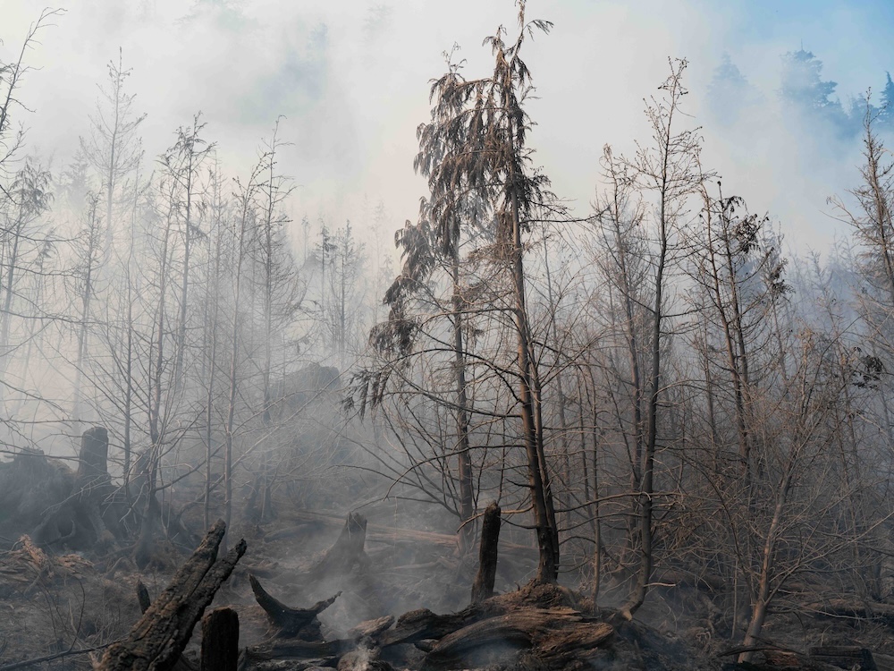 A smoky, hazy view of a burned forest in Sayward, B.C. A small patch of blue sky is visible in the upper right corner of the frame.