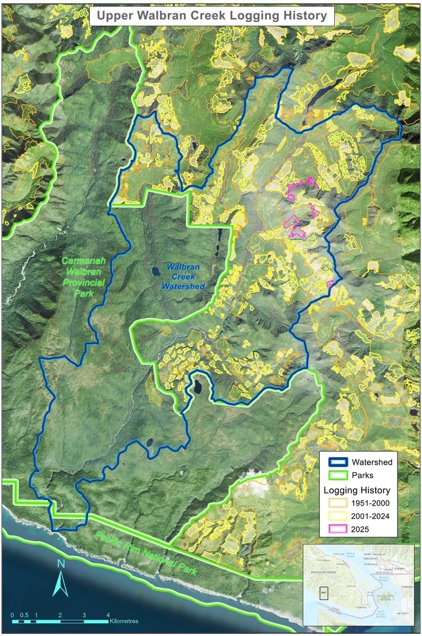 A map shows the Carmanah Walbran park boundary, the outline of the Walbran watershed, and areas of logging history spanning 1951 to 2000, 2001 to 2024, and 2025.
