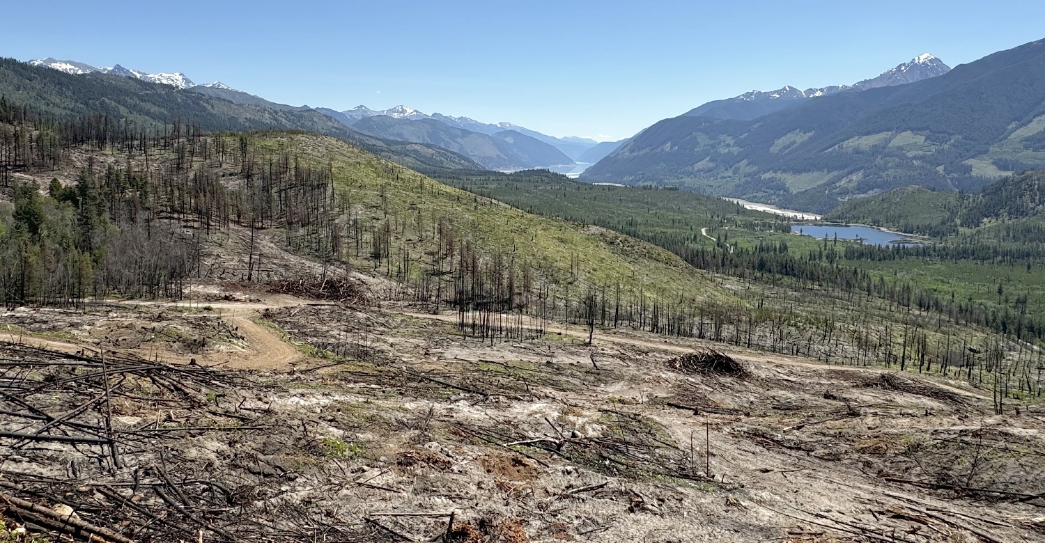 A green alpine valley has been widely logged. A few stands of burned trees are visible.