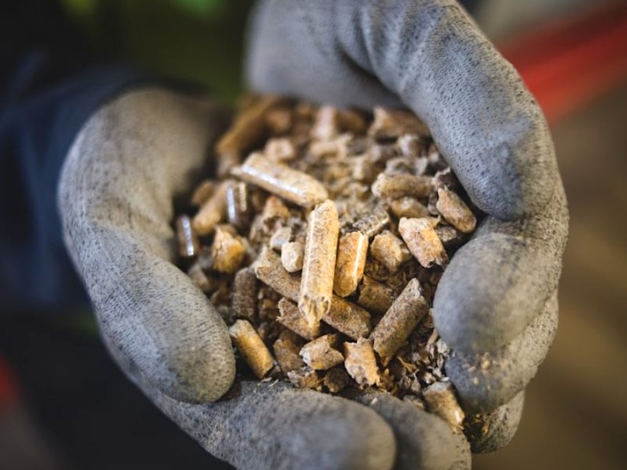 A magnified look at fractured cylindrical wood pellets in sunlight.