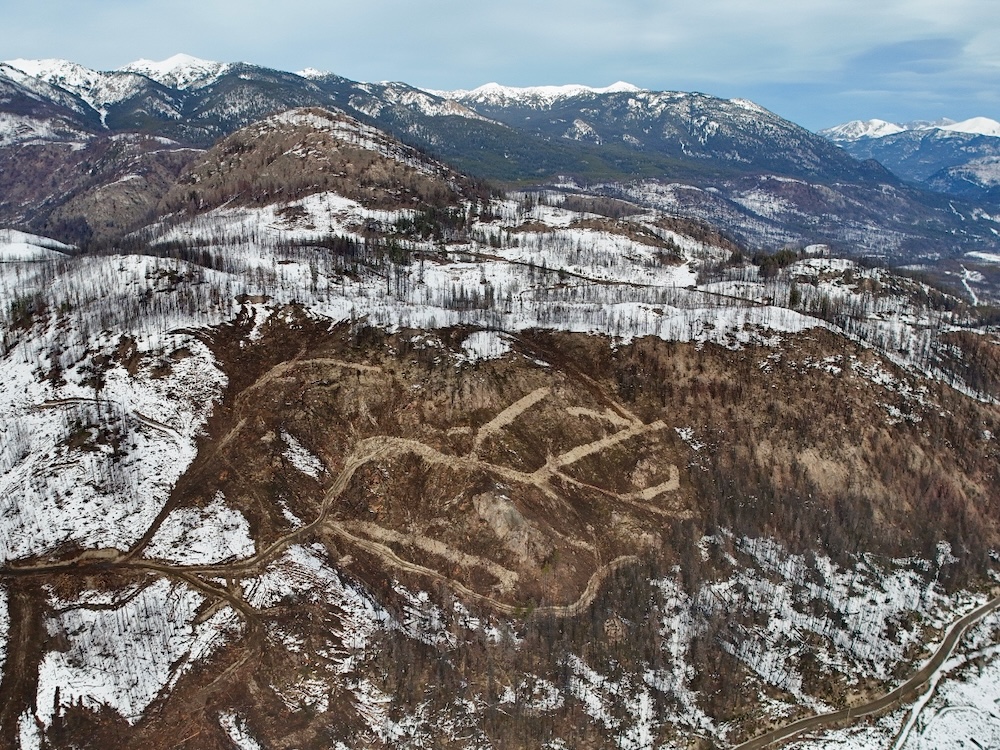 A rugged mountainside mostly covered in snow shows signs of considerable logging among the remnants of a burned forest.