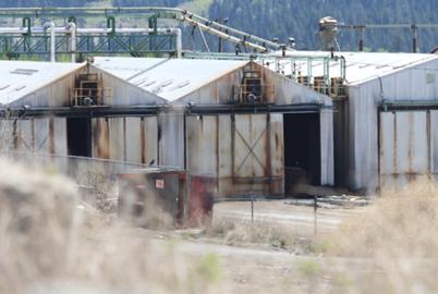 The ‘Reckoning’ Coming for BC Logging Licences