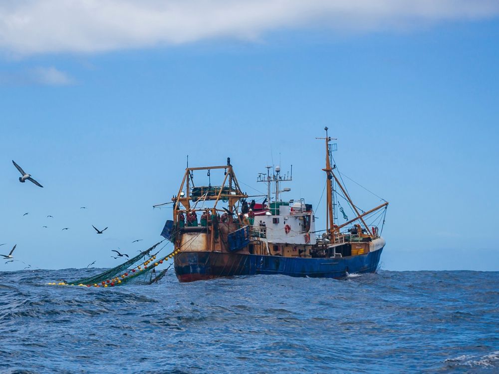 A fishing vessel lifts its trawl in coastal waters.