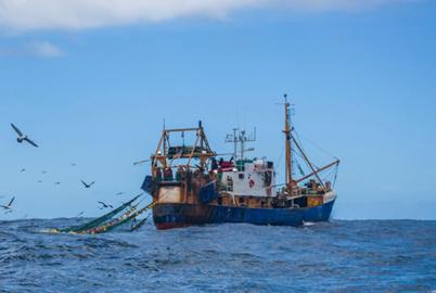 Bottom Trawling Is Scraping Oceans of Life