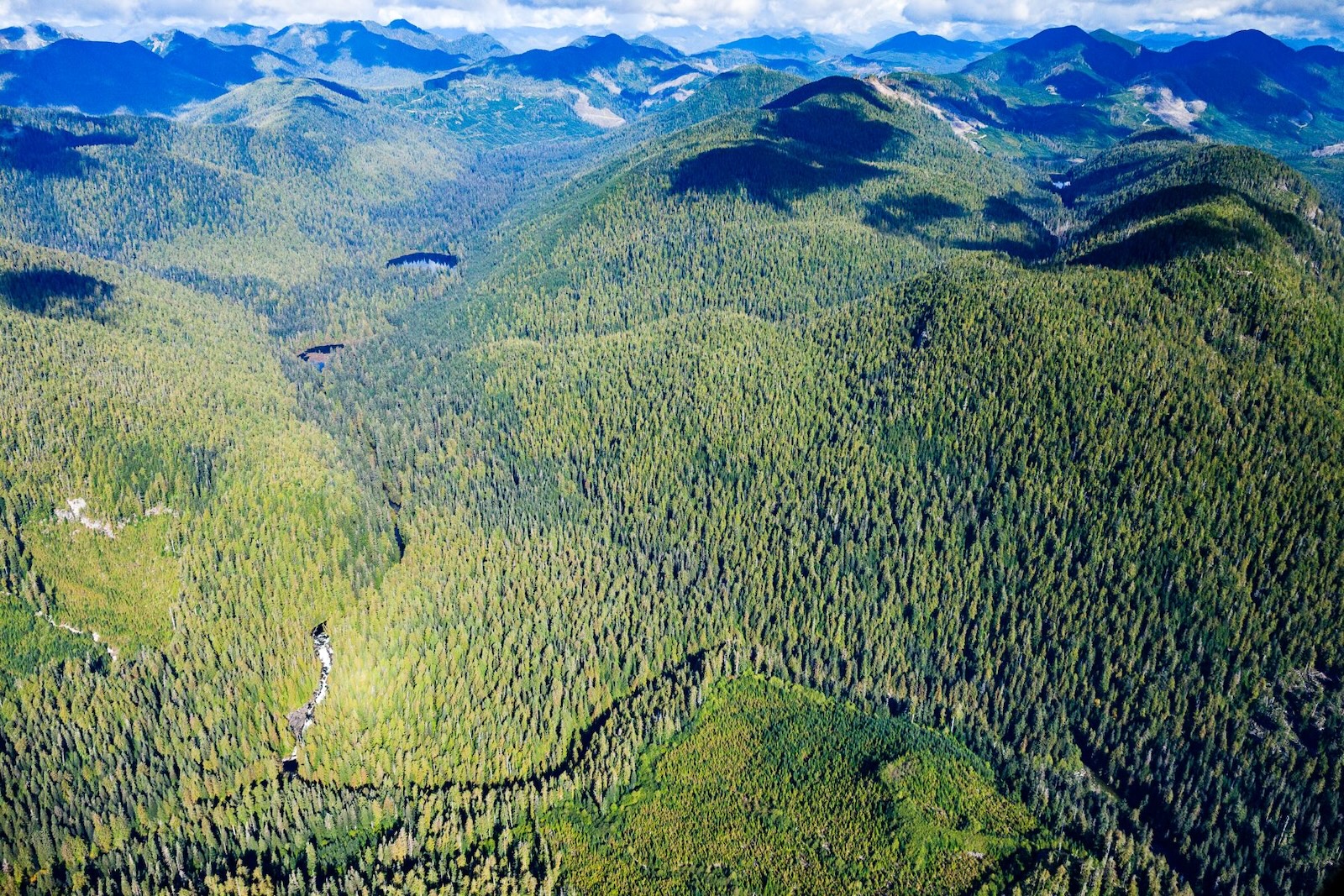 An aerial view of a large valley surrounded by mountains blanketed by green trees with a few clearcut patches in the far distance.