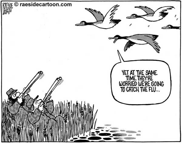 Raeside12_Geese_600px.jpg