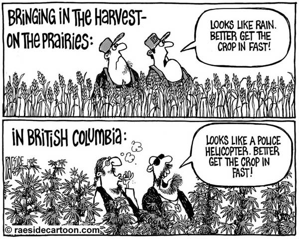 Raeside8_Harvest_600px.jpg