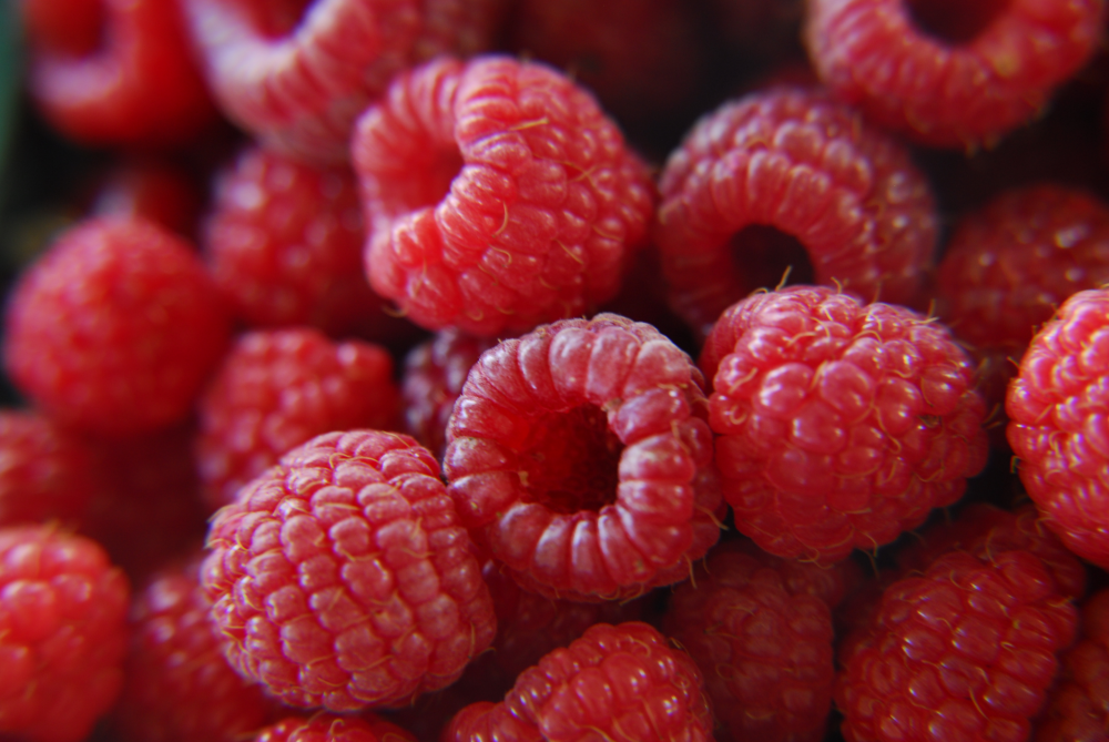 raspberries.png