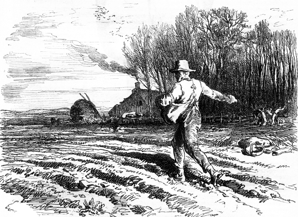 Farm-BW-Illustration.jpg