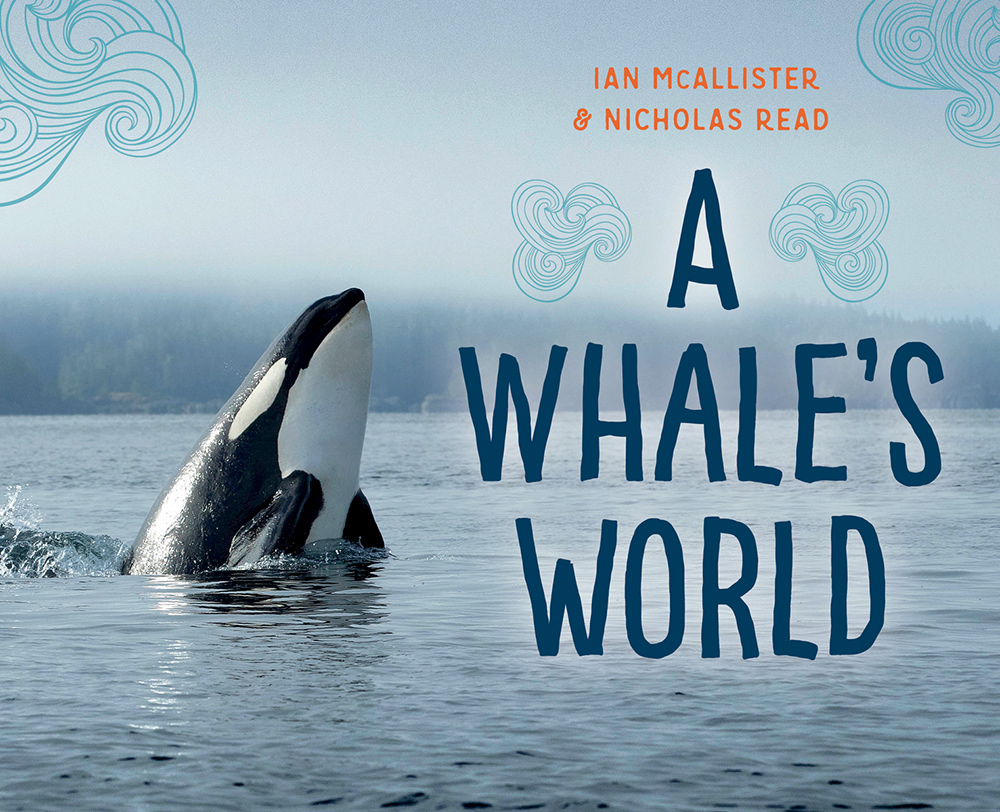 960px version of a-whales-world-roundup-fall18.jpg