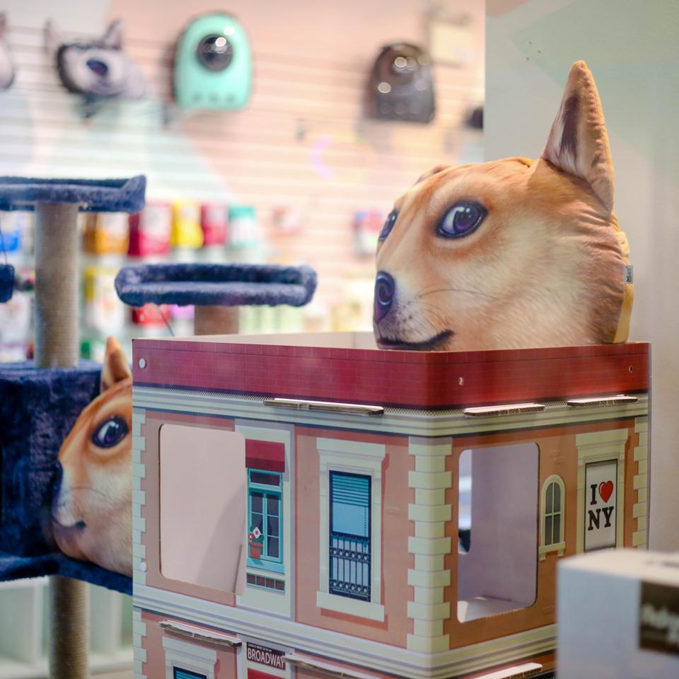 960px version of Crystal-Dog.jpg