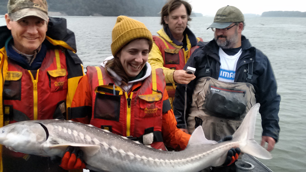 TretheweySuperSturgeon.jpg