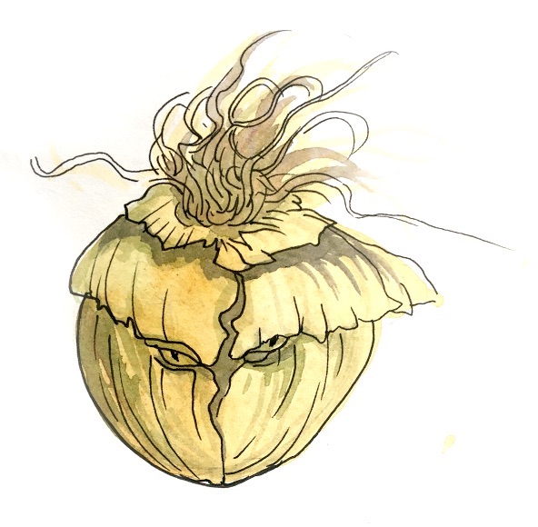 582px version of EvilOnion.jpg