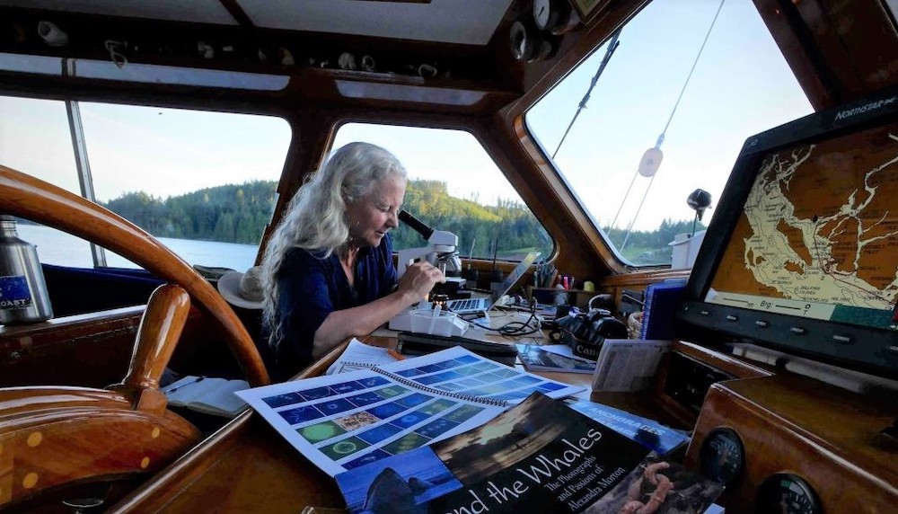Alexandra Morton looks into a microscope. She&rsquo;s on a boat, and the ocean is visible through a window behind her.