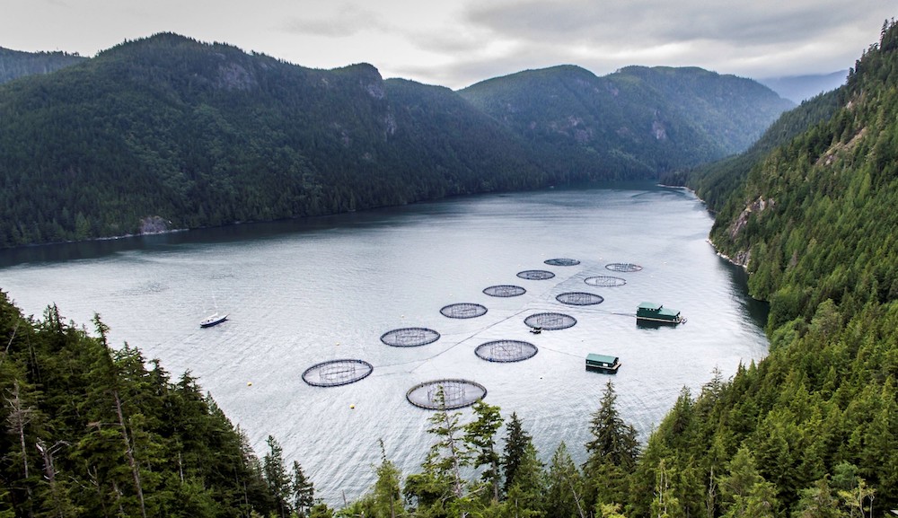 FishFarmBroughton.jpg