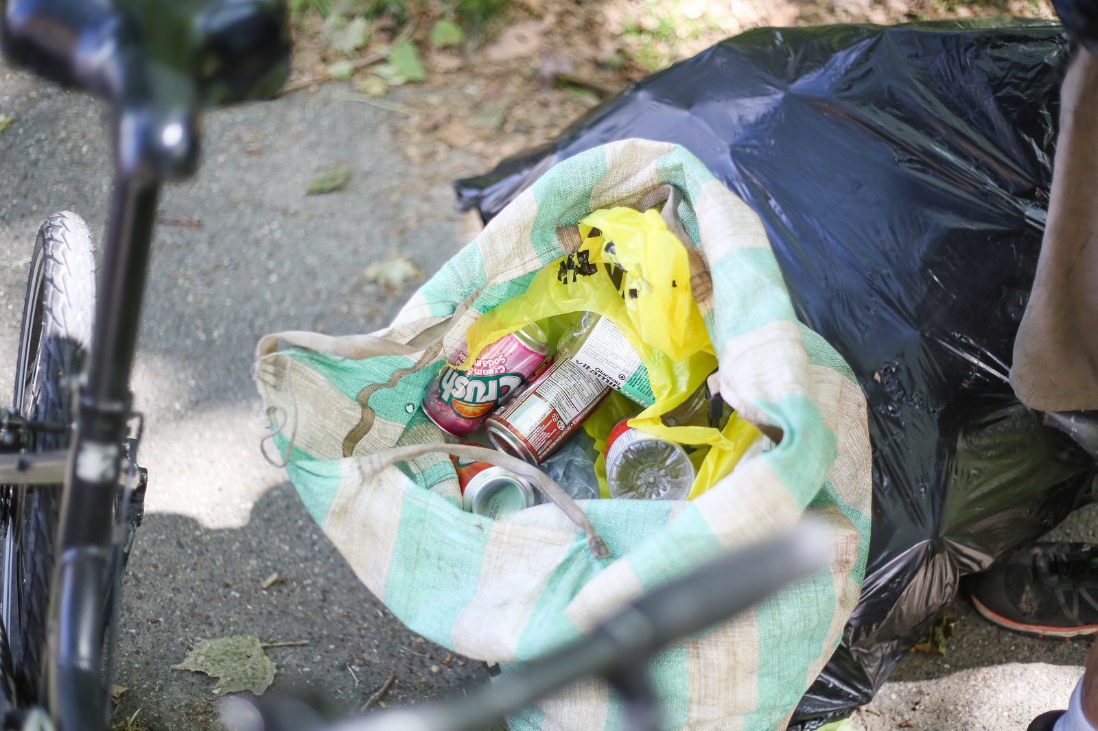 851px version of Steve-Bag.jpg