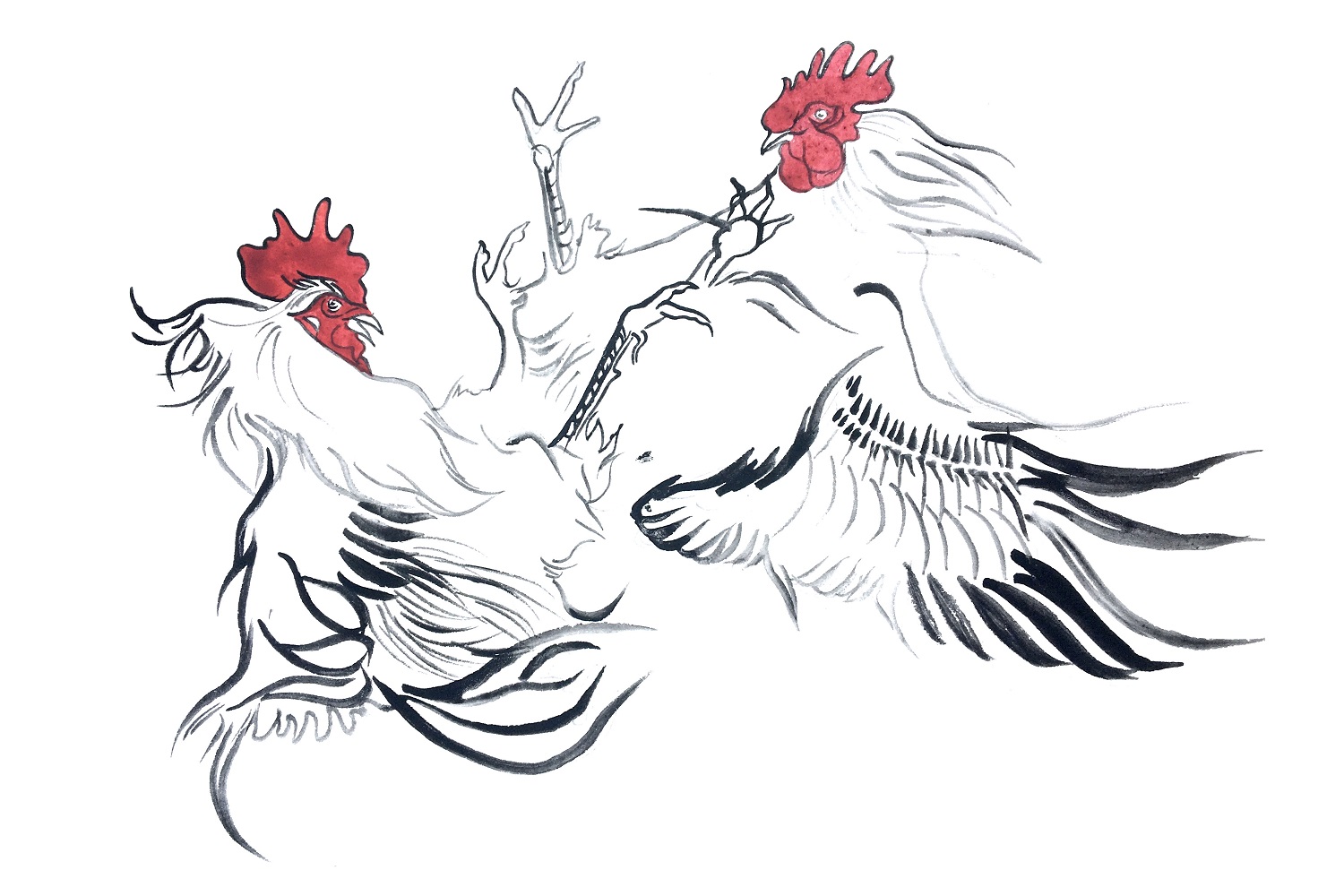 851px version of Chicken-Fight3.jpg