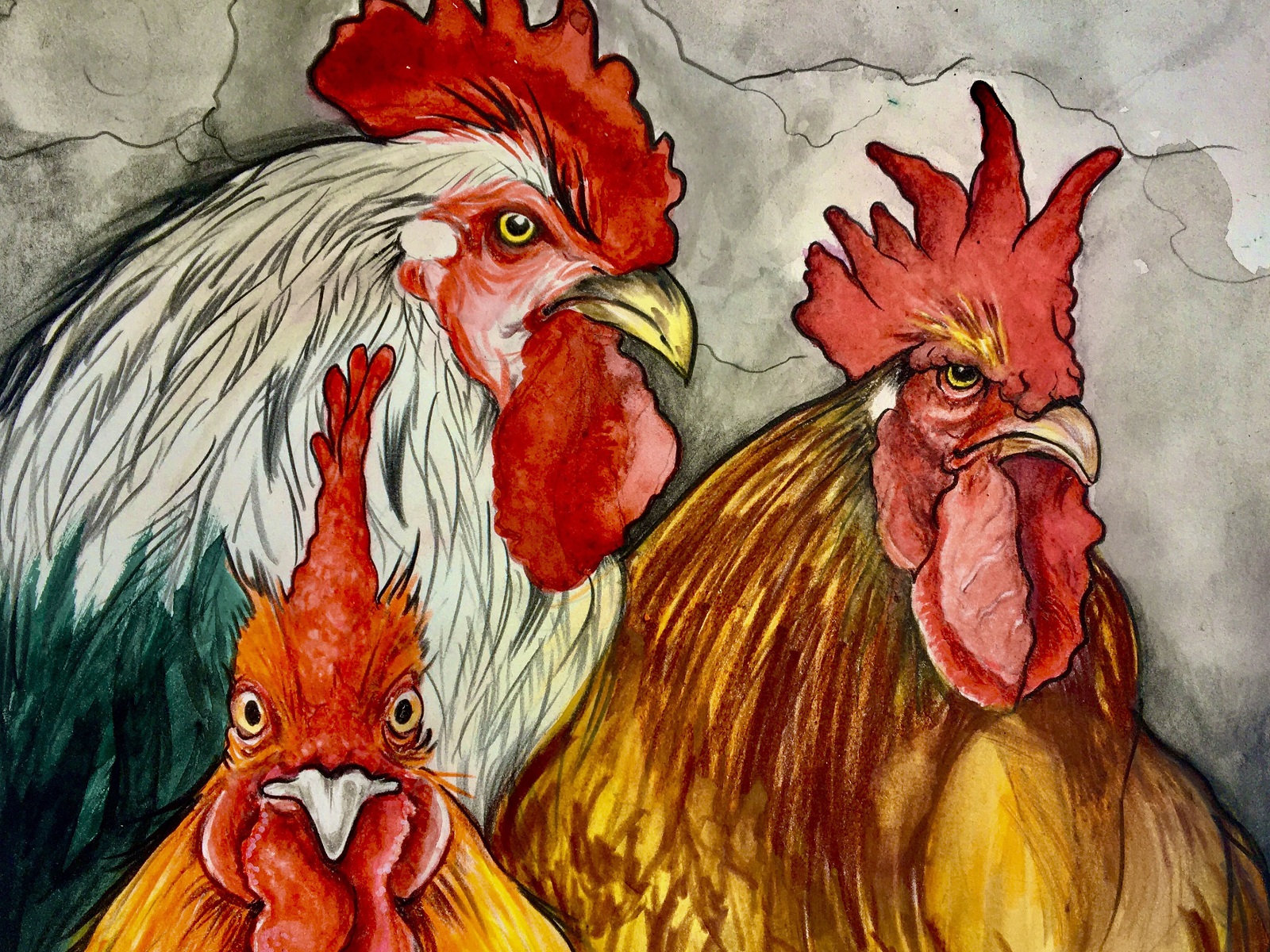 War-Chickens-Cover.jpg