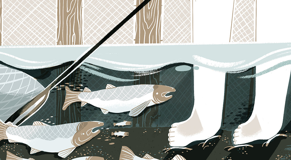 FishTrapPeopleIllustration.jpg