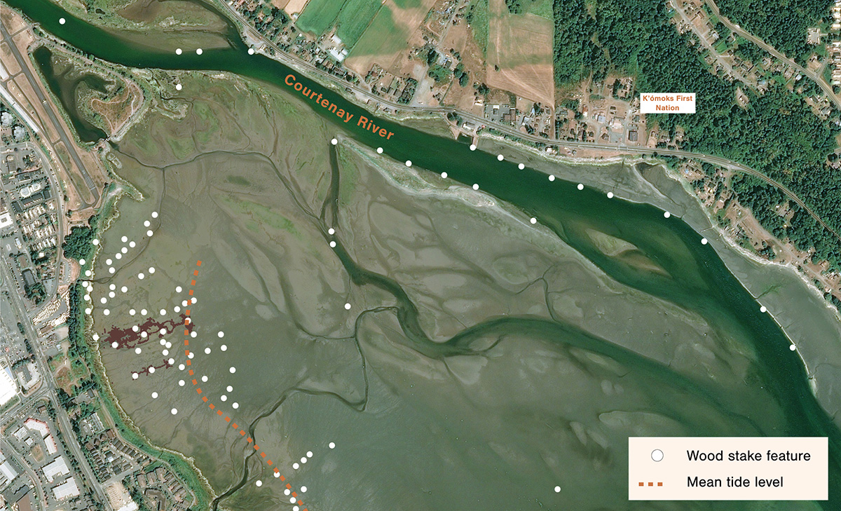 851px version of FishTrapStakesMapComoxHarbour.jpg